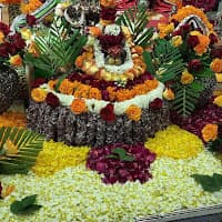 Pandit Naveen Dadhich