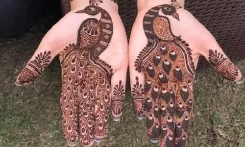 N K Mehendi Art