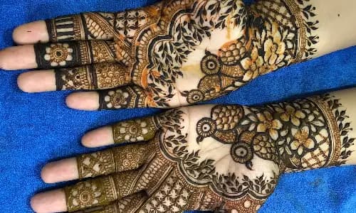 Jyoti Mehndi Artist