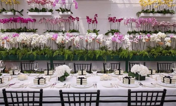 Rudra Events & Weddings