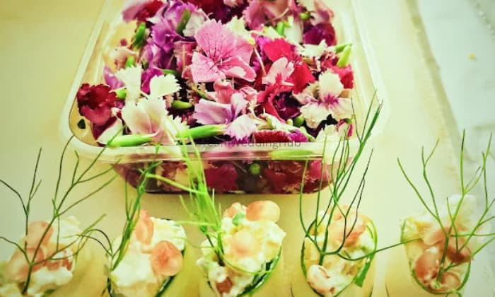 Jay Jogmaya Caterers Jay Jogmaya Caterers