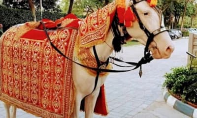 GYASI RAM BAND  GHODI BAGGI