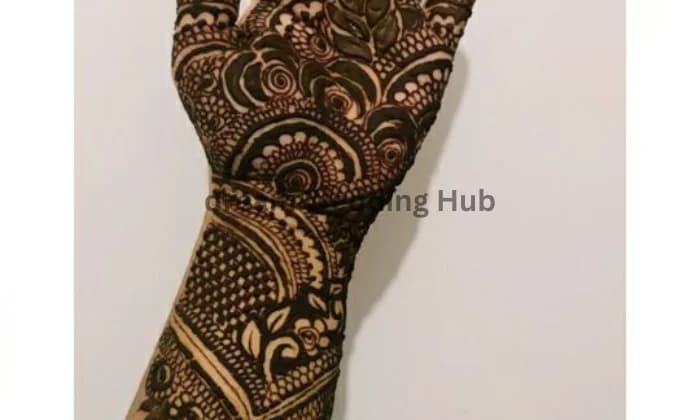 Bushra saani mahendi Artist