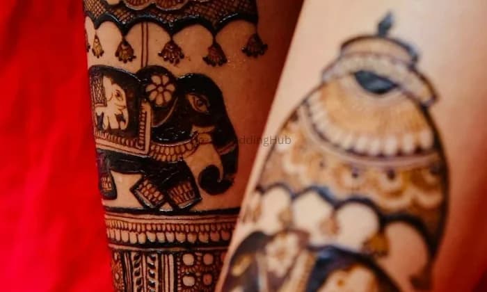 Anima Mehendi artist