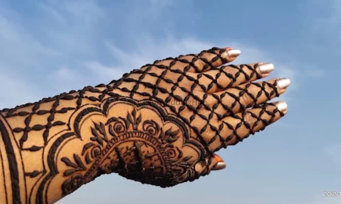 Mehendi By Shailu Mehendi By Shailu