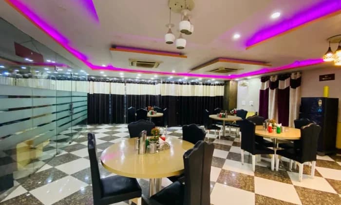 Hotel Basant Vihar International