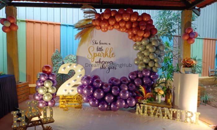 Dream Vision Celebrations