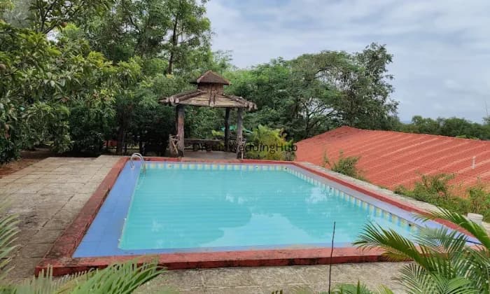 Wild Camp - The Nature Resort