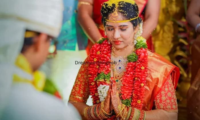 V ZONE  Best Wedding photographer