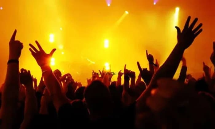 Chetan Lights  Sound