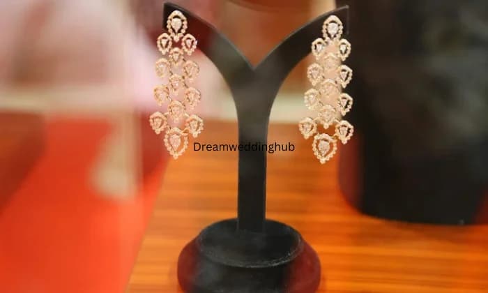 Malabar Gold and Diamonds  Vellore