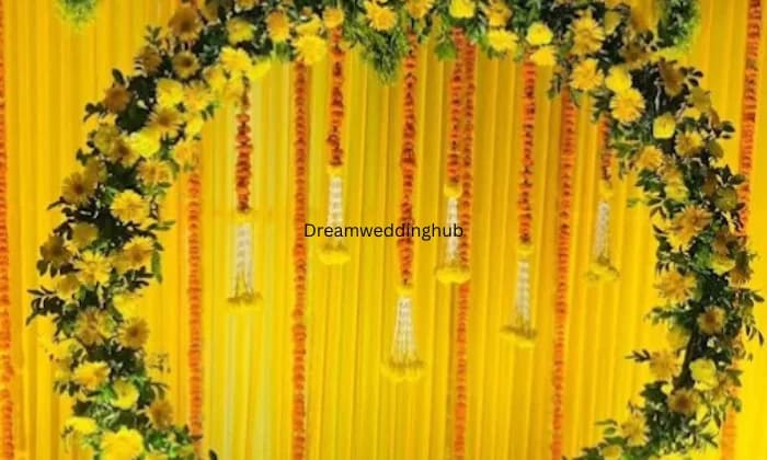 Dream Night Events  Hathras