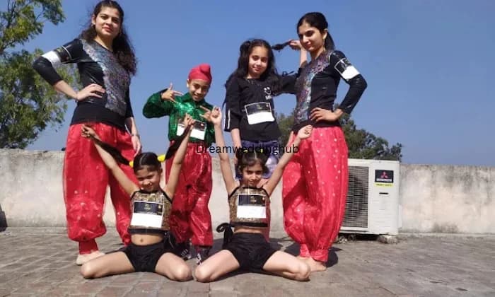 The Bhangra Evolution Folk Art Acedemy