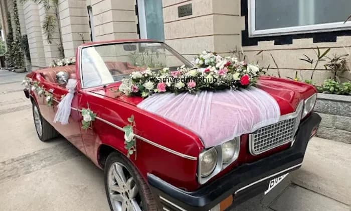 Sai cars for shoot  wedding