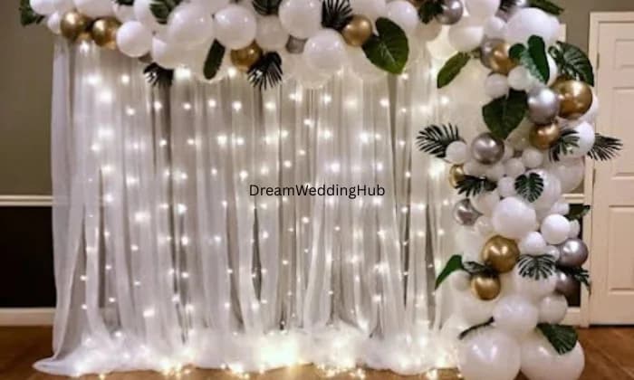 Birthday Party  Balloon Decoration