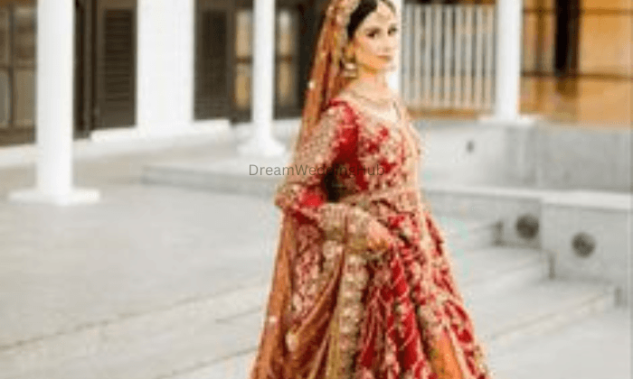 Saluja In Starworld Packers Saluja In Starworld Packers