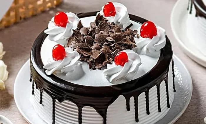 Dhodha Sweets Dhodha Sweets