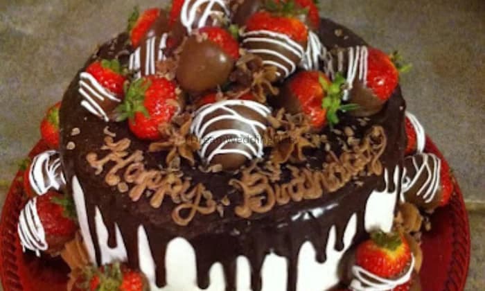 Chugh Bakery Chugh Bakery