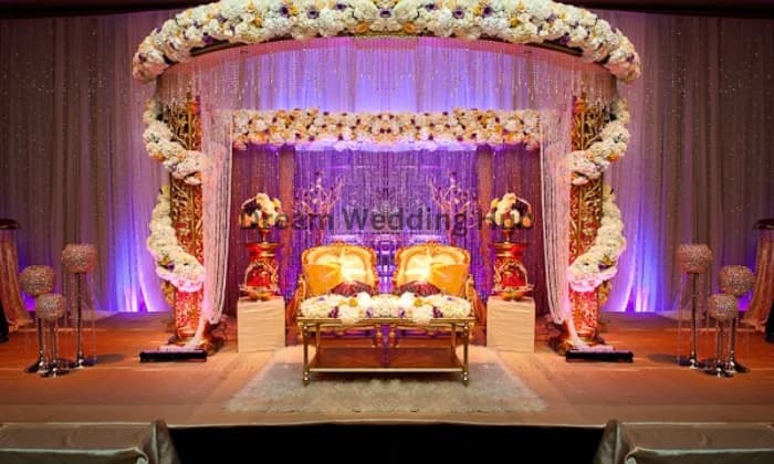 Zealocity Inc Zealocity Inc