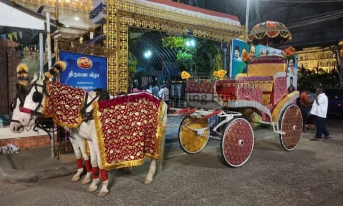 MOSES WEDDING CHARIOTS MOSES WEDDING CHARIOTS