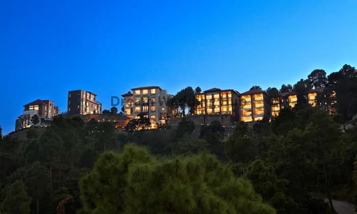 Fortune Select Forest Fortune Select Forest