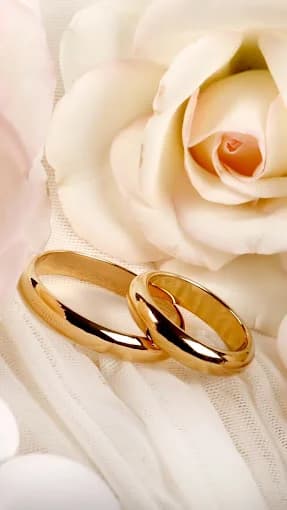 K Purushothaman Sons Golden Jewellery K Purushothaman Sons Golden Jewellery