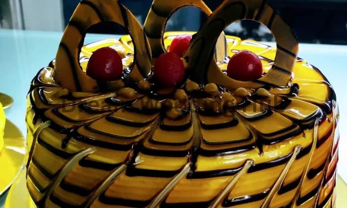 Shree Bakers Shree Bakers