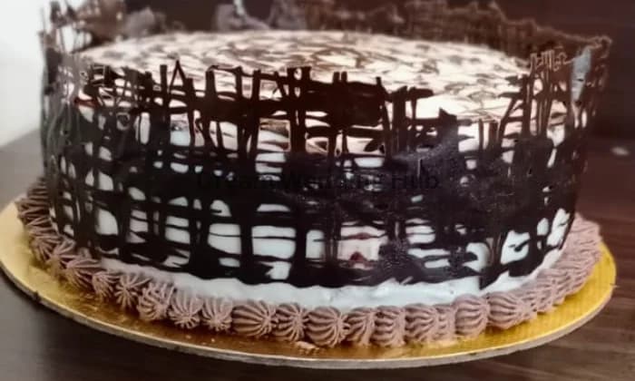 Cake Land Kochi Cake Land Kochi