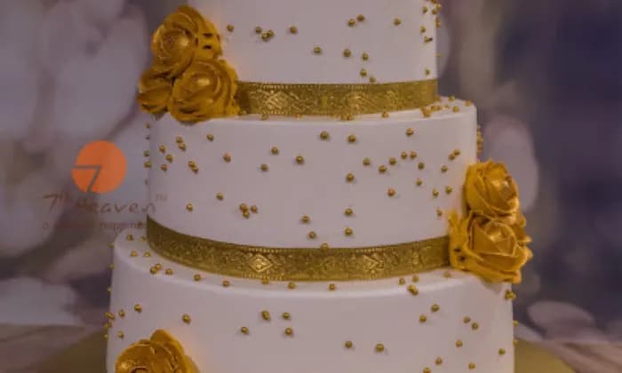 Open Window Caucus Open Window Caucus