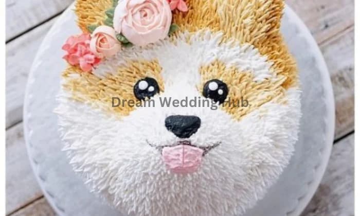 CakeNBake Noida CakeNBake Noida