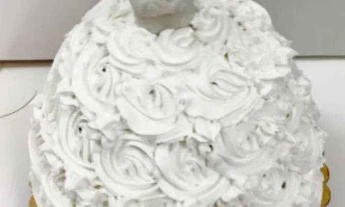 Swiss Castle Bakery PG Road Swiss Castle Bakery PG Road