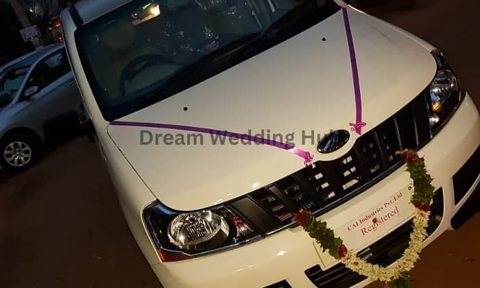 Royal Picks Royal Picks