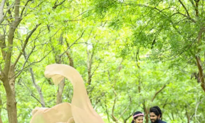 Apsara Rental Dresses Mysore Apsara Rental Dresses Mysore