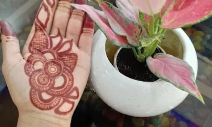 MEHIND PARLOR MEHIND PARLOR