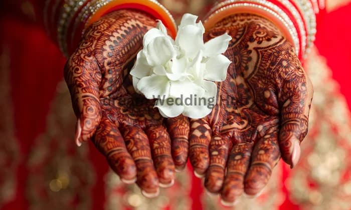 Naresh Mehandi designers Naresh Mehandi designers