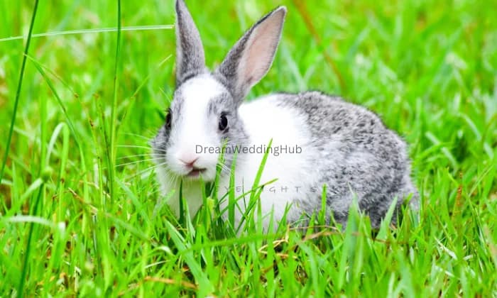 EYELIGHT MOMENTS EYELIGHT MOMENTS