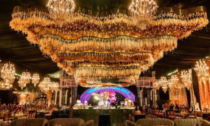 Gala Deventure Gala Deventure