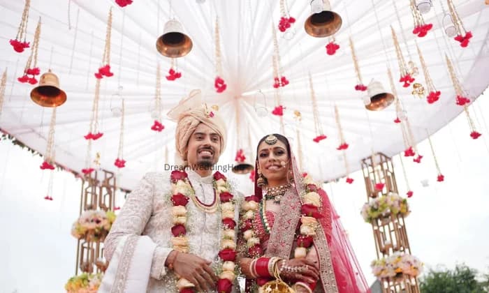 Vibrant Image Best photography Vibrant Image Best photography