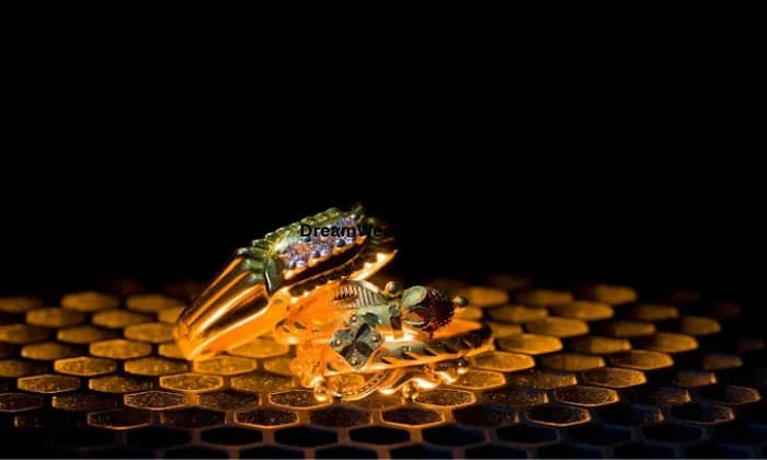 Snap Photography Nagpur Snap Photography Nagpur