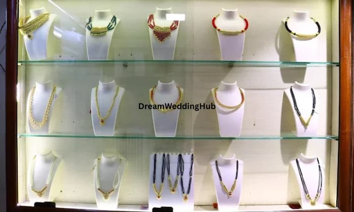 S M Vispute saraf S M Vispute saraf