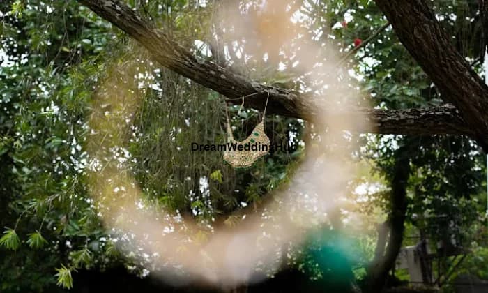 Cherry Tomatoes Studio Cherry Tomatoes Studio