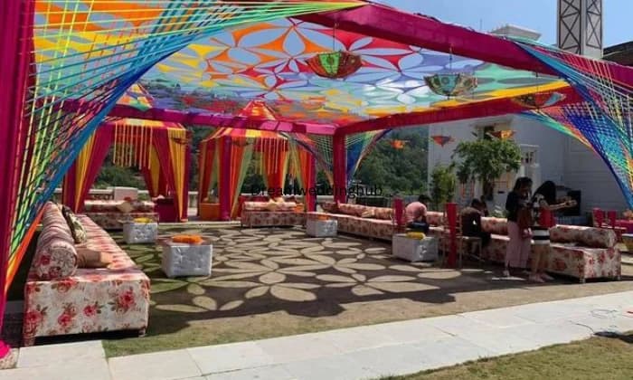 Golden Birds Golden Birds