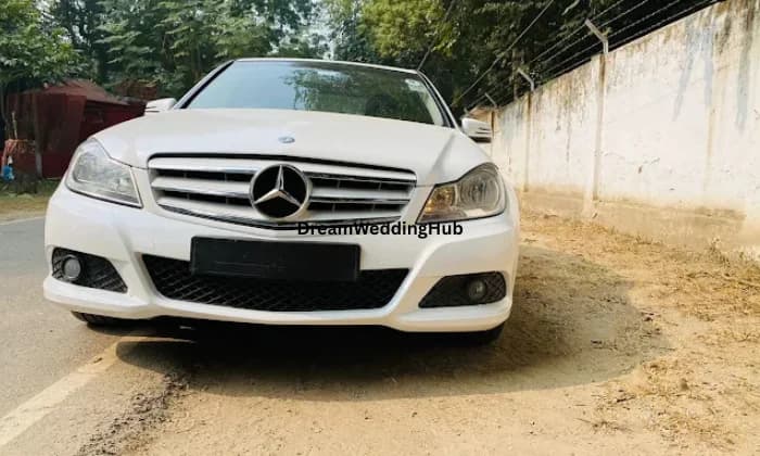 Carle Travels Carle Travels