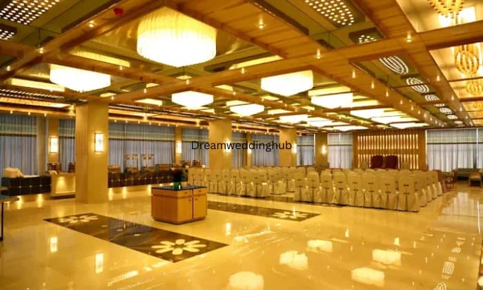 Picnic Party Plot Picnic Party Plot