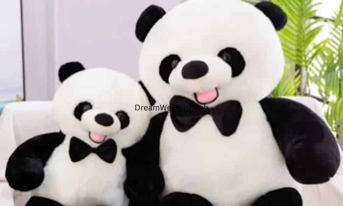 Shubhaarambh collection Shubhaarambh collection