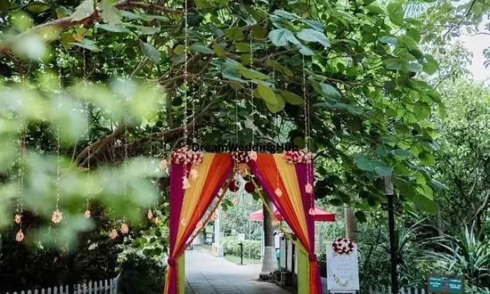 Wedvitez Planners Private Limited Wedvitez Planners Private Limited