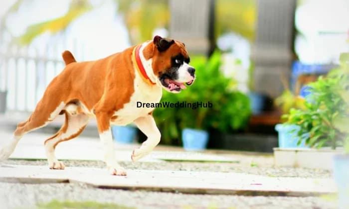 Grooveab Photography HQ Grooveab Photography HQ