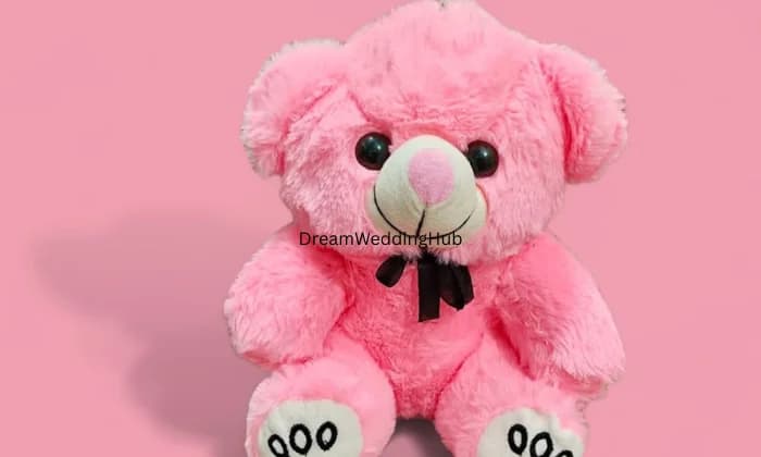 CS Gift Collections CS Gift Collections