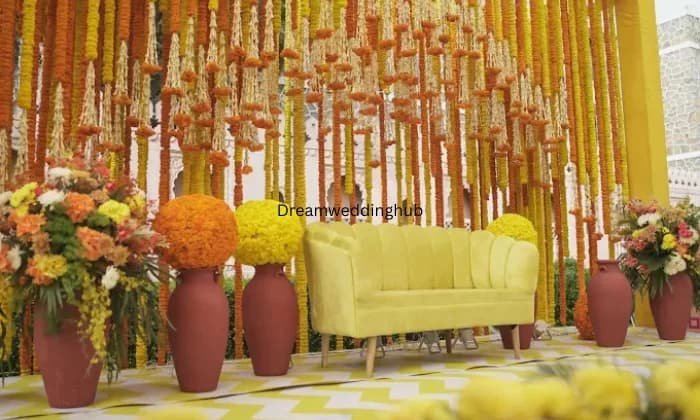 DAMS Management DAMS Management