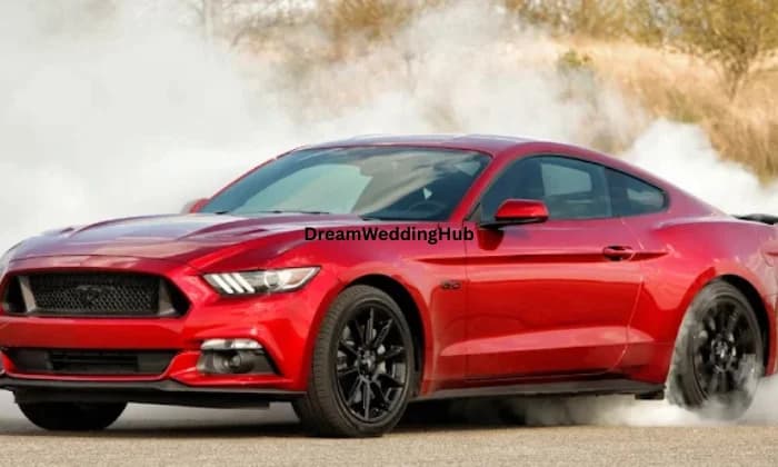 S V K Travels S V K Travels